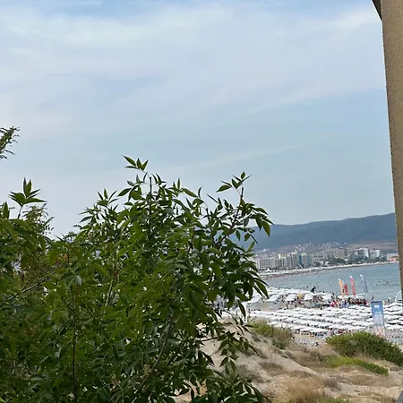 оазис вип клуб апарт * Sunny Beach